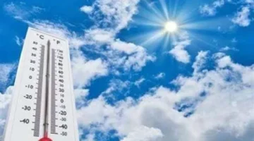 انخفاض حرارة مستمر.. رياح تثير الغبار تضرب القاهرة غدًا